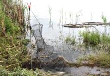 1260 рублей за рыбалку в ноябре. О чём предупреждают белорусов 1260 рублей за рыбалку в ноябре. О чём предупреждают белорусов.