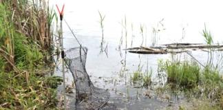 1260 рублей за рыбалку в ноябре. О чём предупреждают белорусов.