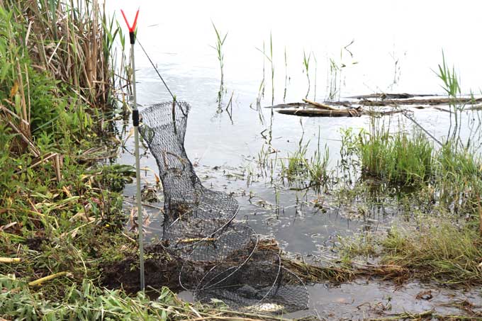 1260 рублей за рыбалку в ноябре. О чём предупреждают белорусов.