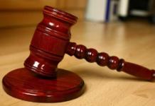 За что нарушителю грозит штраф в размере 8700 евро.