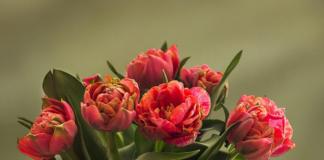 Руководство района поздравляет с 890-летием города