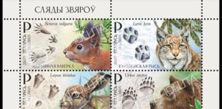 Какие марки появятся в Беларуси