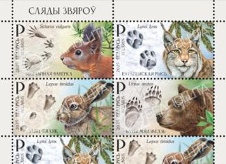 Какие марки появятся в Беларуси