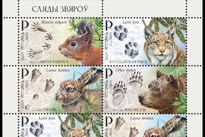 Какие марки появятся в Беларуси