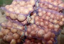 Как идёт заготовка овощей в районе