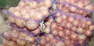 Как идёт заготовка овощей в районе