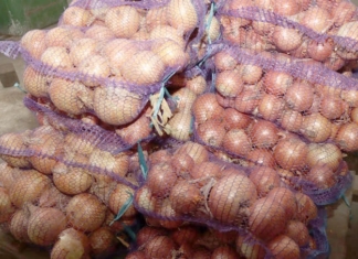 Как идёт заготовка овощей в районе