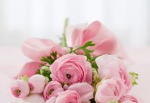 Владимир Павловский поздравляет профессиональным праздником – Днём учителя Владимир Павловский поздравляет профессиональным праздником – Днём учителя!