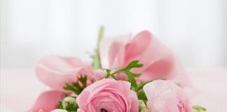 Владимир Павловский поздравляет профессиональным праздником – Днём учителя!