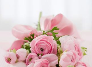 Владимир Павловский поздравляет профессиональным праздником – Днём учителя!