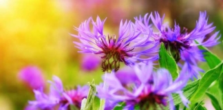 Руководство района поздравляет с Днём автомобилиста и дорожника!