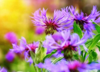 Руководство района поздравляет с Днём автомобилиста и дорожника!