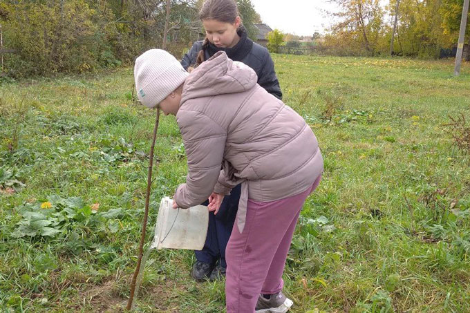 Мстиславские школьники озеленяют родной край