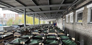 Незаконный груз выявили таможенники. Что скрывалось за пустыми банками