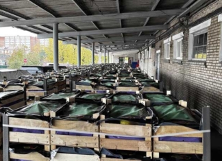 Незаконный груз выявили таможенники. Что скрывалось за пустыми банками