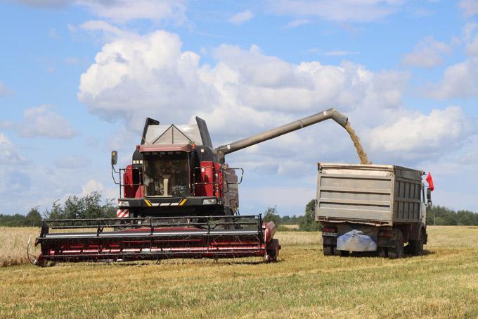 Посмотрите, какой вклад внесли аграрии Мстиславщины в областной каравай