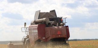 Посмотрите, внесли аграрии Мстиславщины в областной каравай