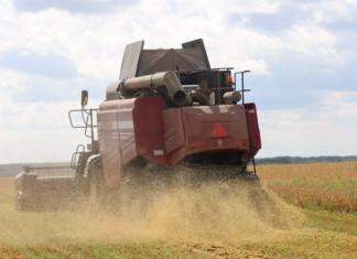 Посмотрите, внесли аграрии Мстиславщины в областной каравай