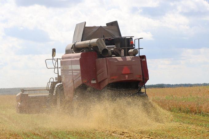 Посмотрите, внесли аграрии Мстиславщины в областной каравай