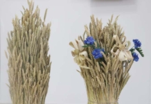 Поздравление руководства района с районным праздником «Дажынкі-2025»