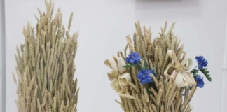 Поздравление руководства района с районным праздником «Дажынкі-2025»