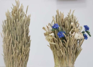 Поздравление руководства района с районным праздником «Дажынкі-2025»