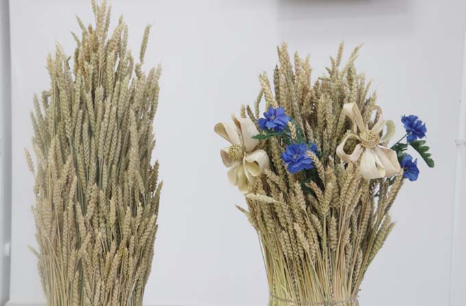 img_7672 Поздравление руководства района с районным праздником «Дажынкі-2025»