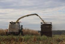 Посмотрите, как идут работы на полях Мстиславщины