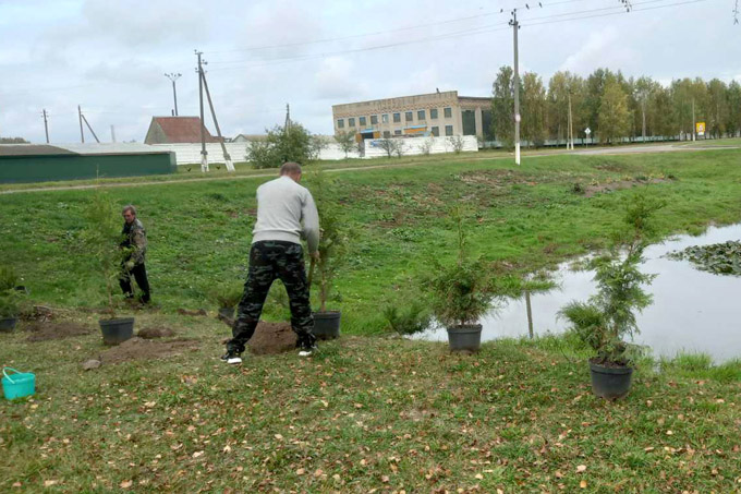 В аг. Мазолово — на "Дожинки". Последние штрихи к празднику