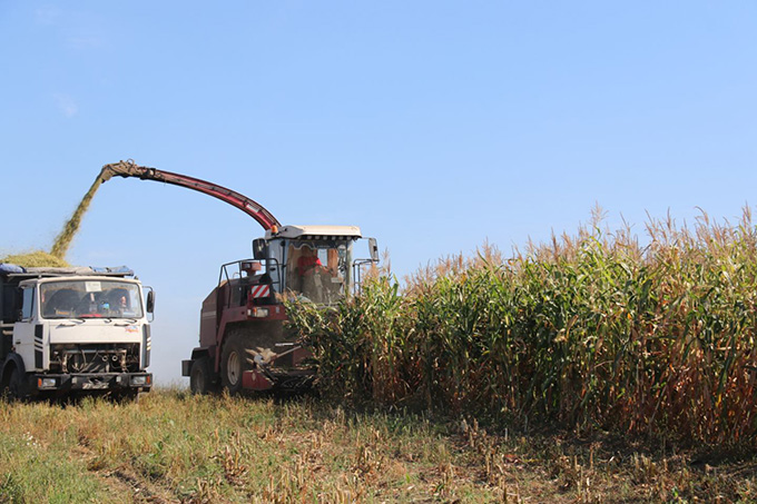 Узнали, как идут полевые работы в сельхозпредприятиях
