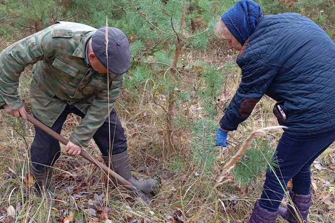 Где в районе появится ещё одна экотропа