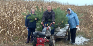 Где в районе появится ещё одна экотропа