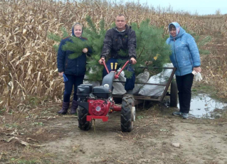 Где в районе появится ещё одна экотропа