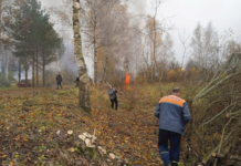 Какое дело объединило жителей агрогородка Подсолтово