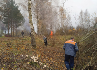 Какое дело объединило жителей агрогородка Подсолтово