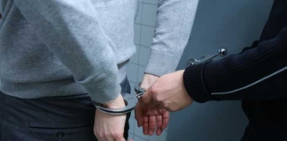 За необычные грядки в квартире мужчине грозит 5 лет тюрьмы.