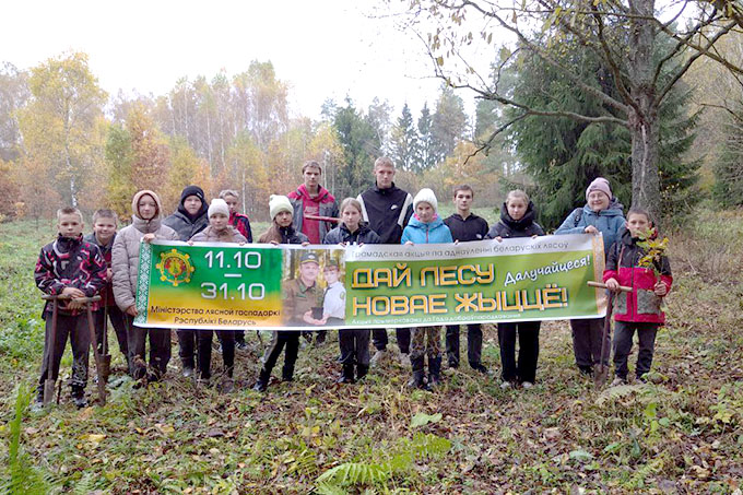 Школьники из Мушино заложили новую дубраву
