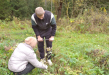 Школьники из Мушино заложили новую дубраву