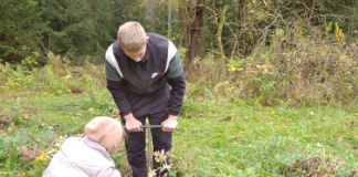 Школьники из Мушино заложили новую дубраву