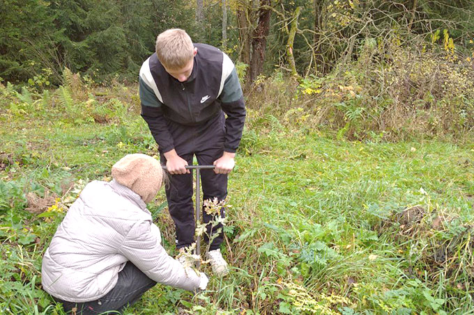 Школьники из Мушино заложили новую дубраву