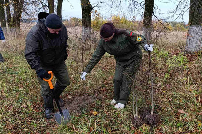 Как прошёл Единый день озеленения в Мстиславле