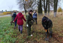 Как прошёл Единый день озеленения в Мстиславле