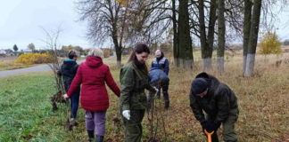 Как прошёл Единый день озеленения в Мстиславле