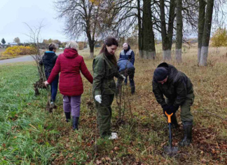 Как прошёл Единый день озеленения в Мстиславле
