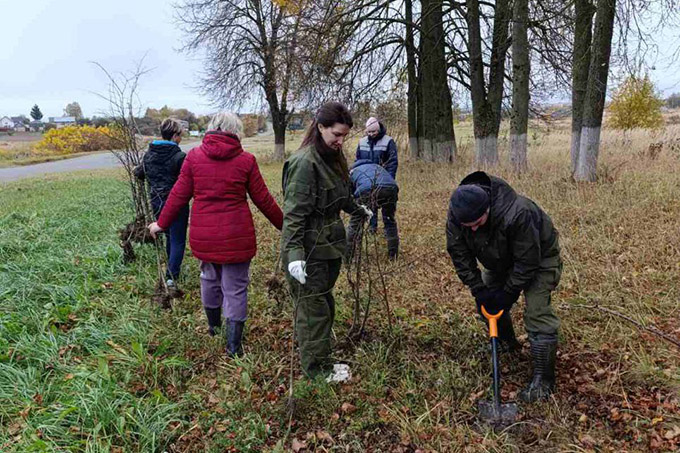 Как прошёл Единый день озеленения в Мстиславле