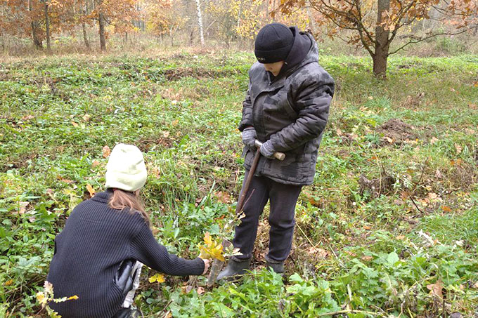 Школьники из Мушино заложили новую дубраву