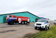 Пожарные вывели 50 голов скота из горящей фермы Пожарные вывели 50 голов скота из горящей фермы