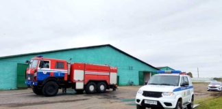 Пожарные вывели 50 голов скота из горящей фермы