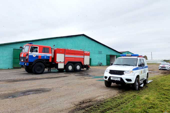 Пожарные вывели 50 голов скота из горящей фермы