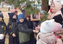 Как прошла акция «Птичьи кормушки» для школьников